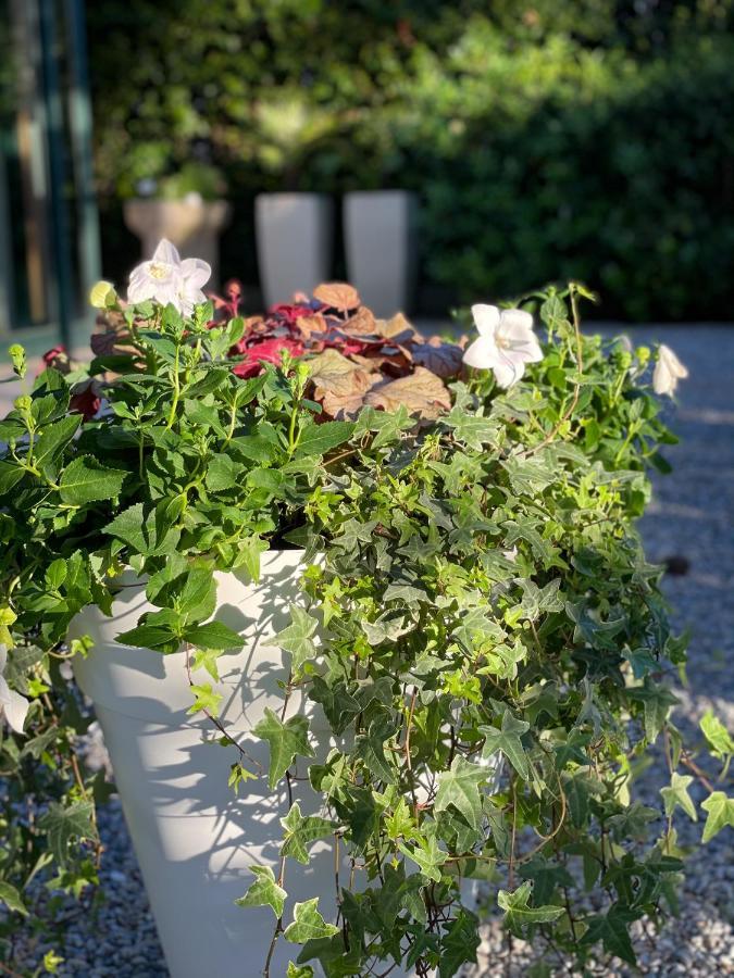 Hotel B&B Des Bains Milano Marittima Zewnętrze zdjęcie